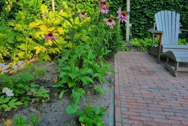 wat kost een tuinontwerp